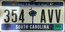 License Plate Format and Design