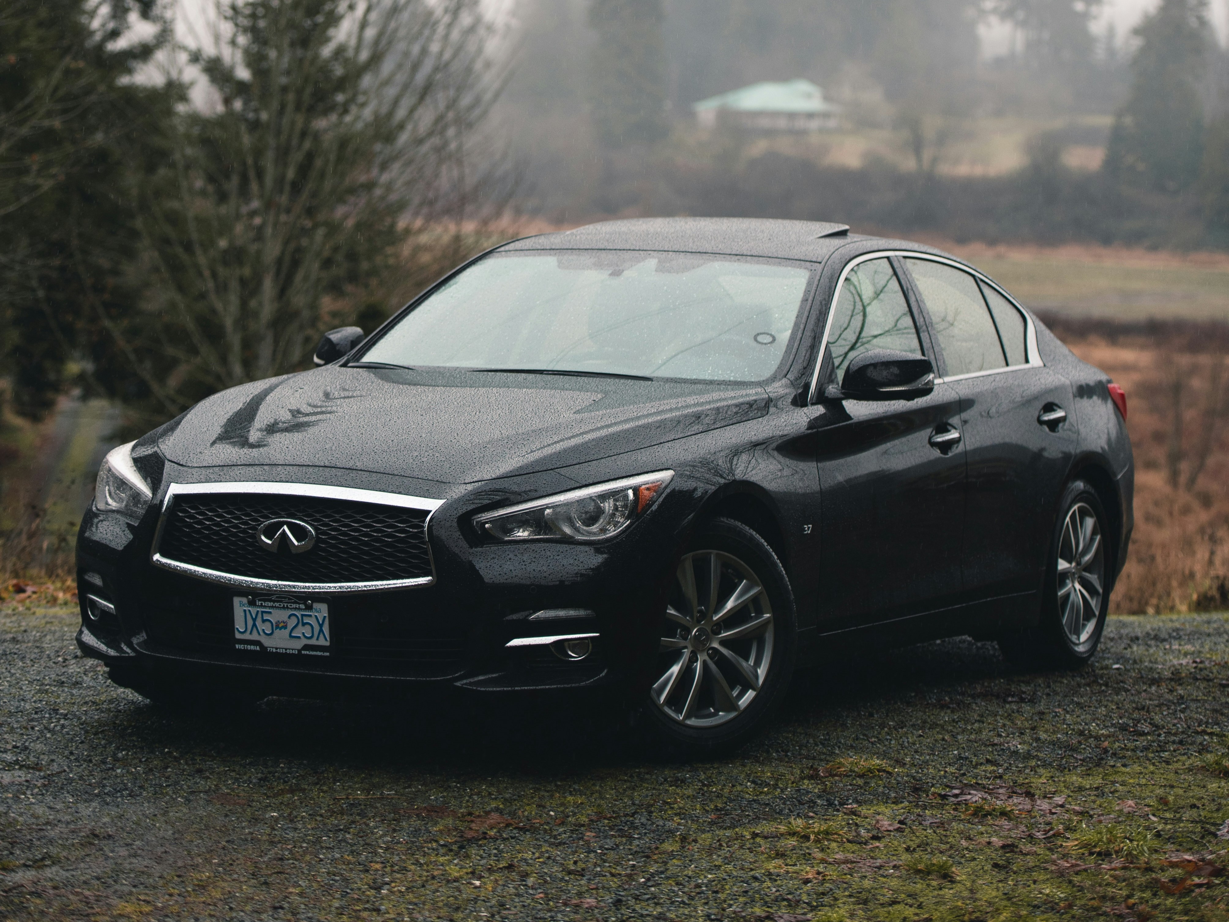 Q50